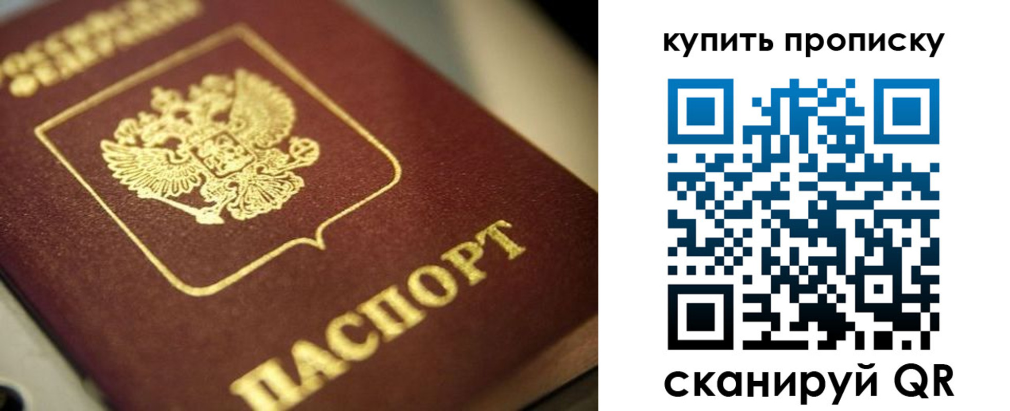 прописка поиск в Тайге